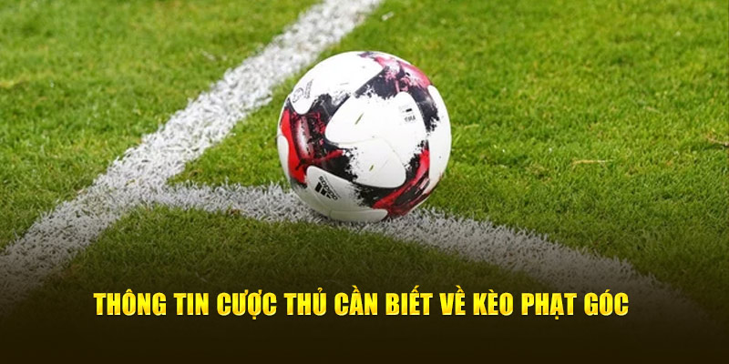 Kèo Phạt Góc - Chỉ Dẫn Từ A - Z Bí Quyết Đặt Cược Chuẩn Xác 1 Thông tin cược thủ cần biết về kèo phạt góc